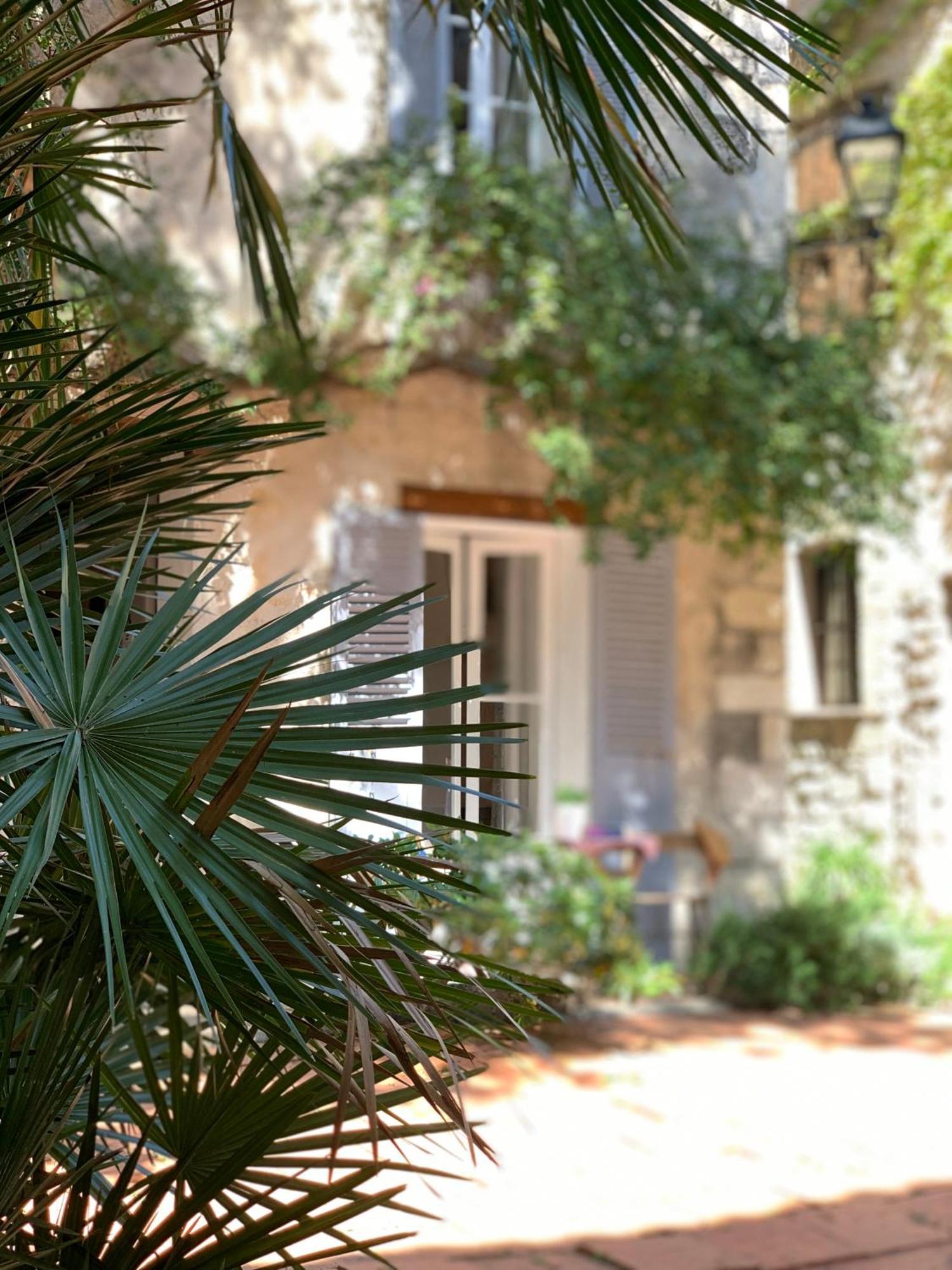 La Cle De La Porte B&B Antibes Eksteriør billede